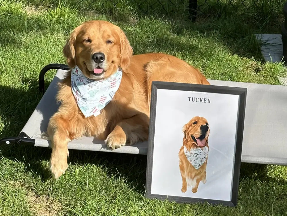 Crafting Your Perfect Pet Portrait - LUSEONS